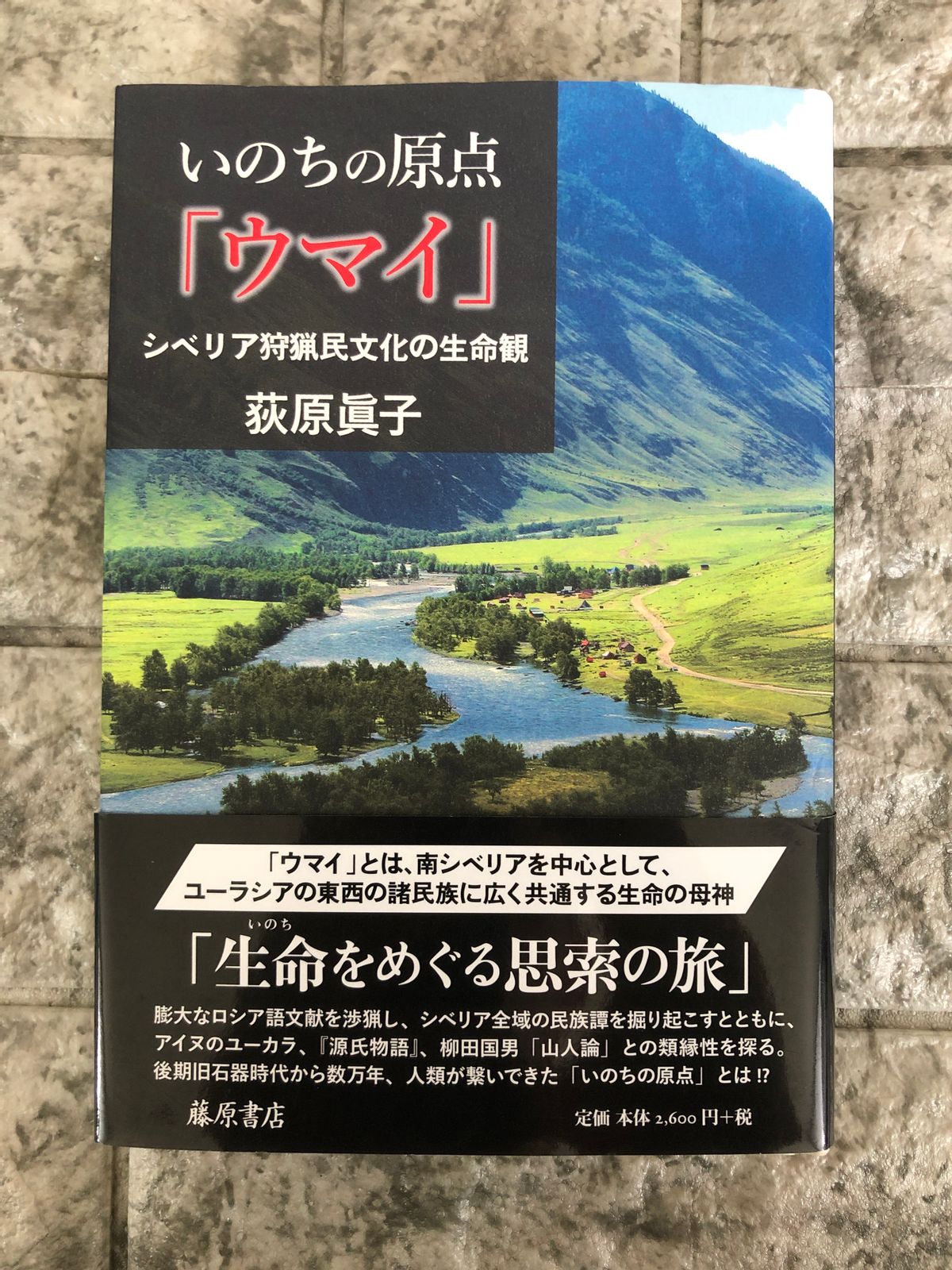 北方諸民族の世界観―アイヌとアムール・サハリン地域の神話・伝承 荻原