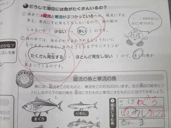 SAPIX 小学3年 ソシオ・スコープ 社会 デイリーサピックス 340
