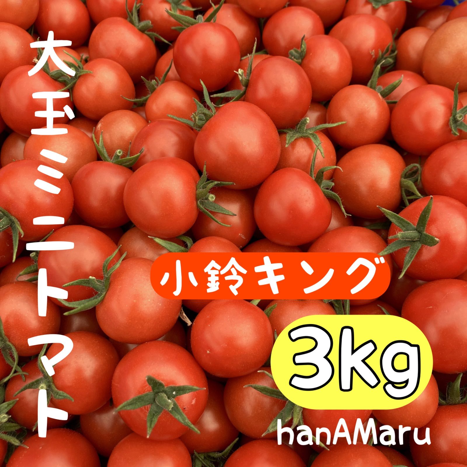 ミニトマト 3kg ⭐️小鈴⭐️ - 野菜