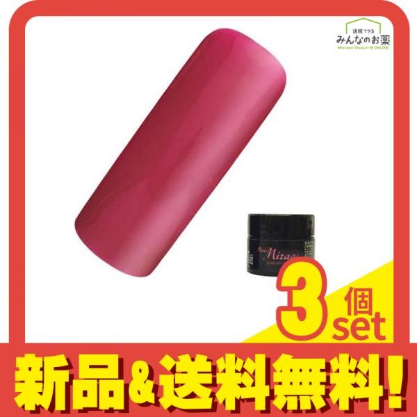 【中古】 幸齢な生きかた老いかた 向老学実践編/風媒社/青木みか 幸齢な生きかた老いかた 向老学実践編 / 青木 みか、 高橋 ます