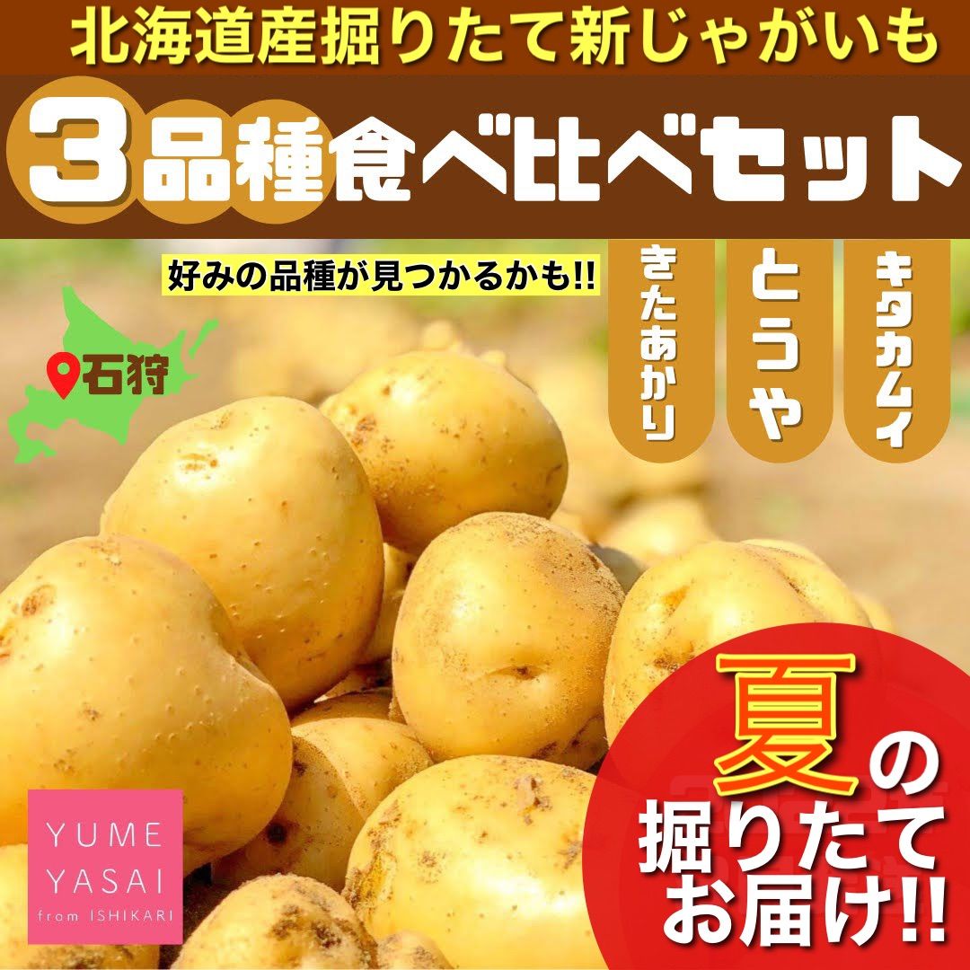 掘りたて新じゃがいも 3品種 食べ比べセット 北海道産 産地直送 - メルカリ