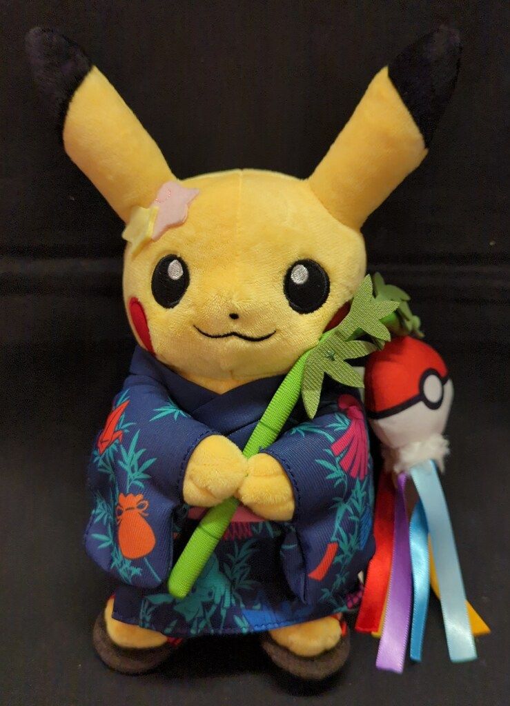 ポケモン ぬいぐるみ/ポケモンセンタートウホクR