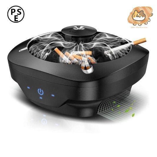 STUSSY ミニプレート stussy general store セット STUSSY Livin