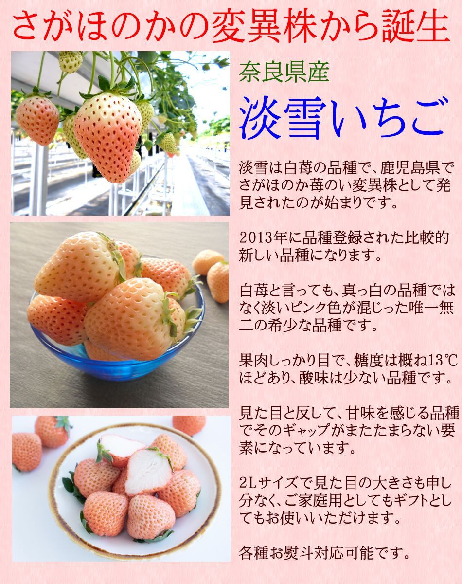 12月中旬より発送開始