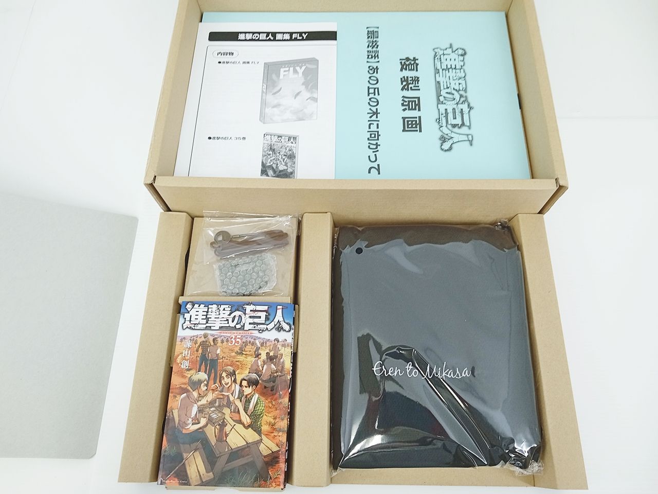 進撃の巨人 画集 FLY 諌山創セット 開封済み 未使用 [MB-3304] - メルカリ