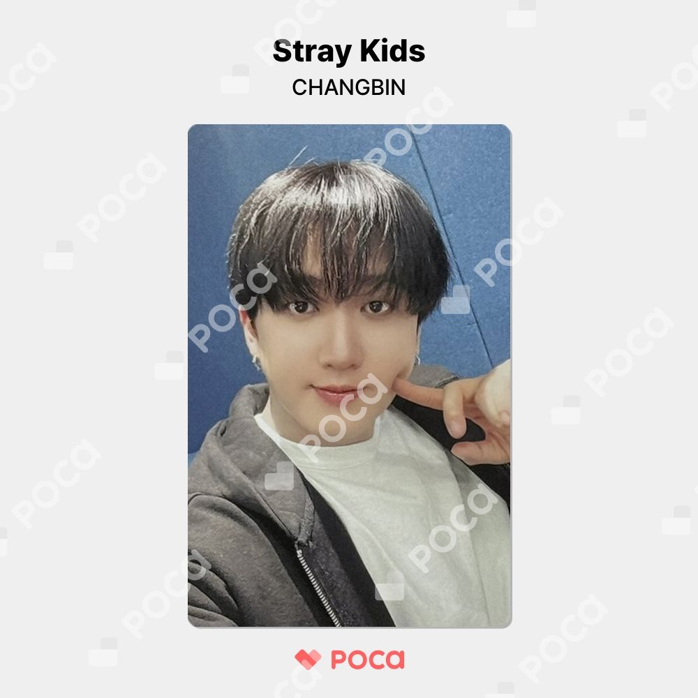 straykids スキズ SBS 歌謡大祭典 サノク トレカ チャンビン Stray Kids スキズ チャンビン MAXIDENT 限定 サノク トレカ