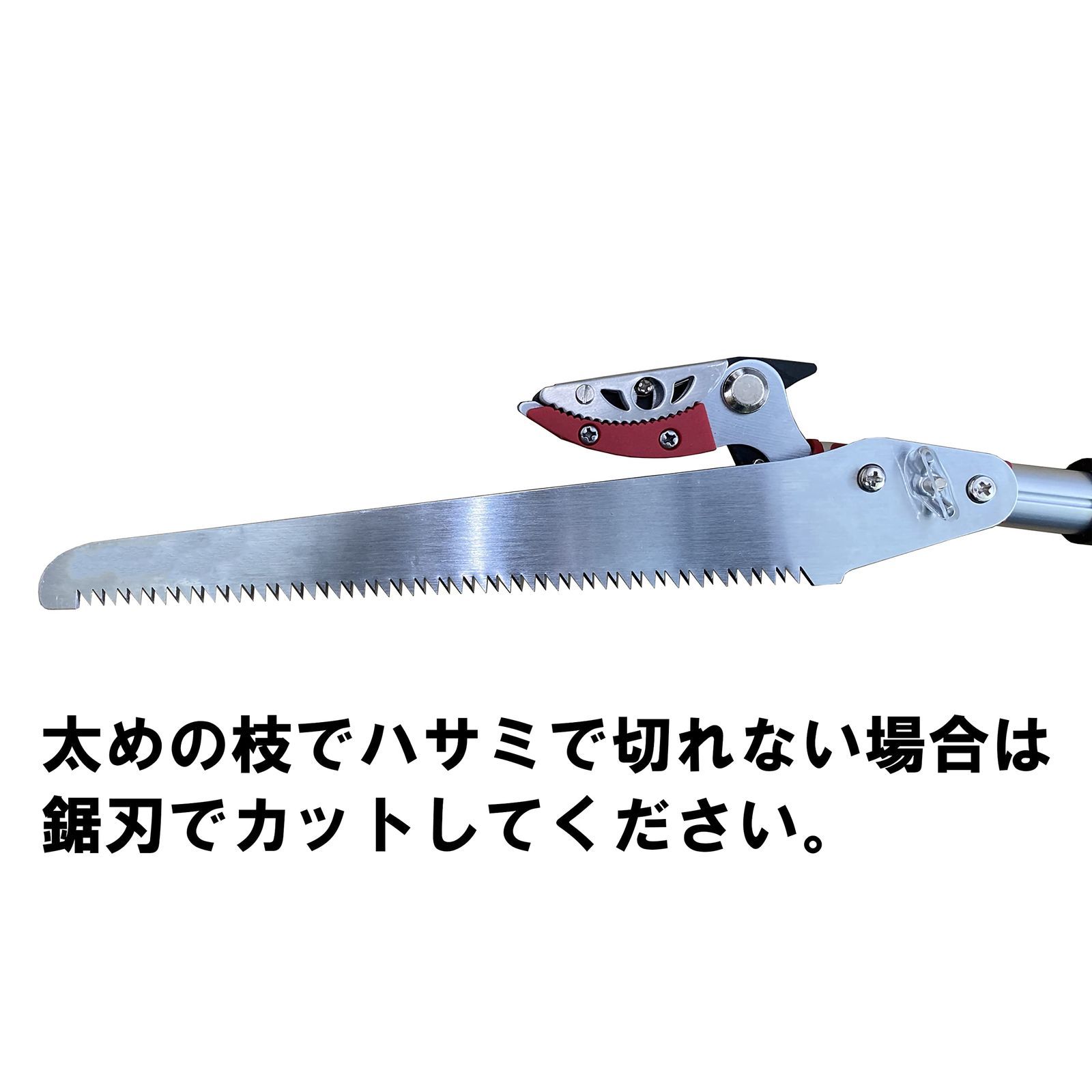 高枝切りはさみ 庭園