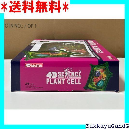 4Dビジョン植物細胞モデル サイエンスシリーズ 立体パズル4D Vision science model 624002 Plant Cellフェイムマスター Fame Master 4D master 知育玩具STEM 253