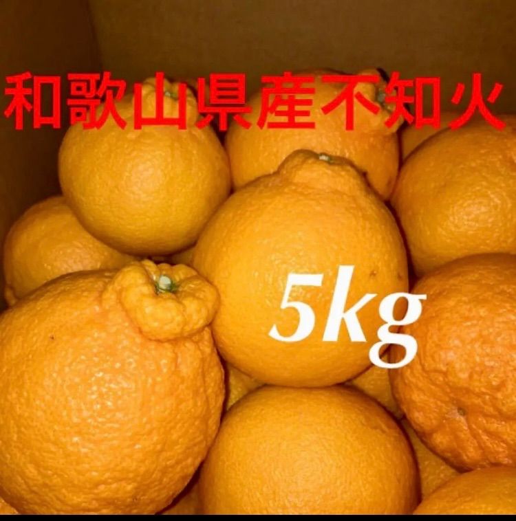 和歌山産不知火５kg - 果物