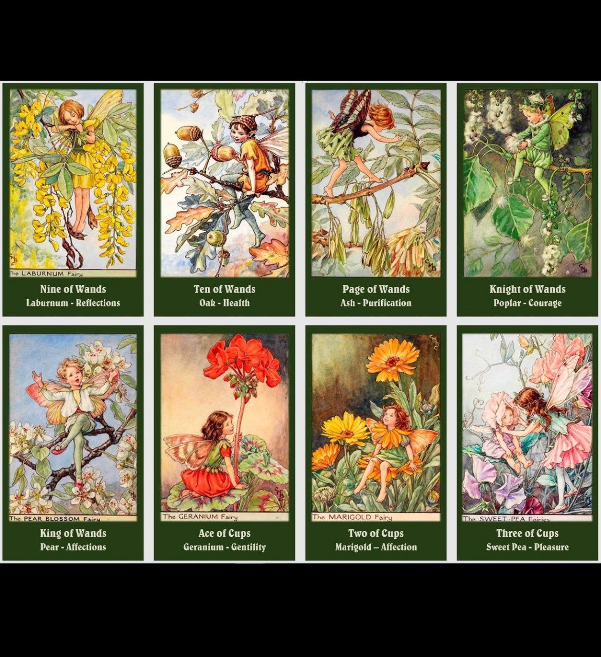 花の妖精タロットカードFlower Fairies Tarot Deck - コレクション