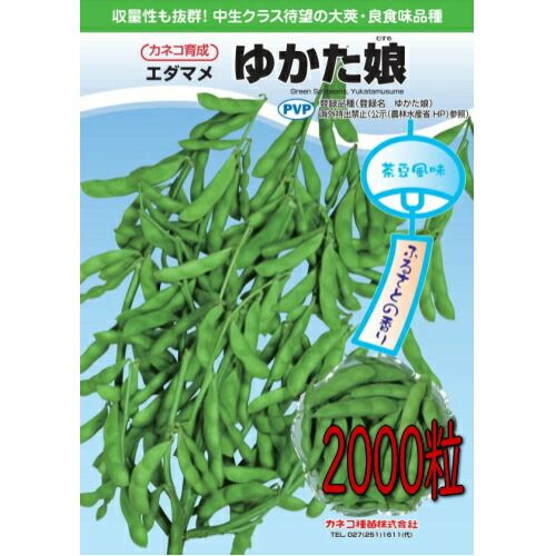 お洒落女子は必見！ 売切れ御免 カネコ種苗 枝豆 ゆかた娘 2000粒 種子 10個セット 安定した