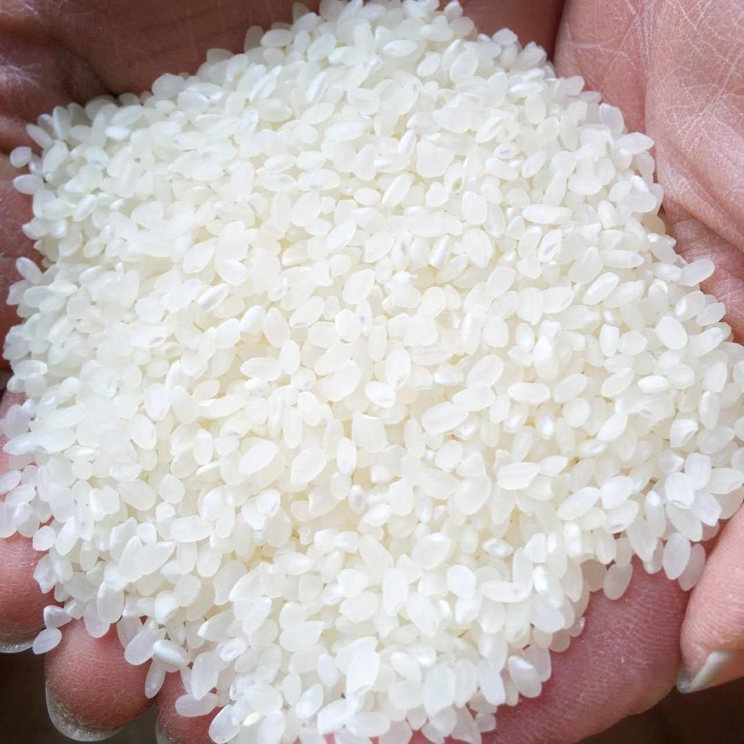 メルカリShops - 新米 美味しいお米 令和3年 埼玉県産 コシヒカリ 白米 27kg 送料無料