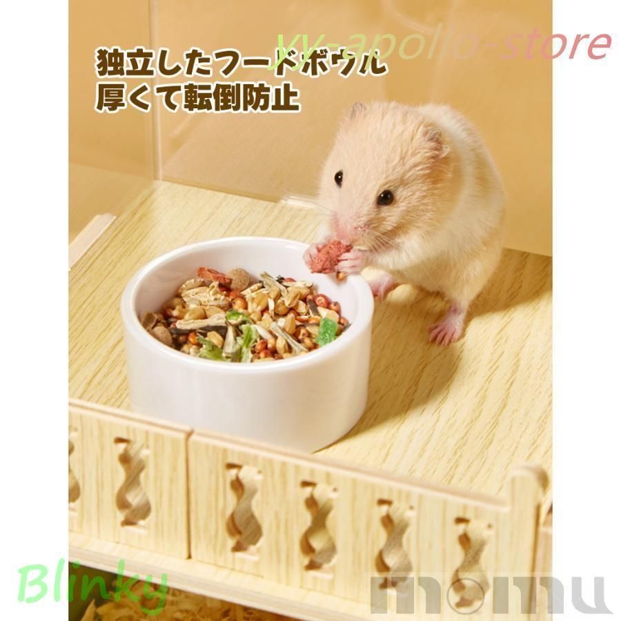 ゴールデンハムスターLYX数量