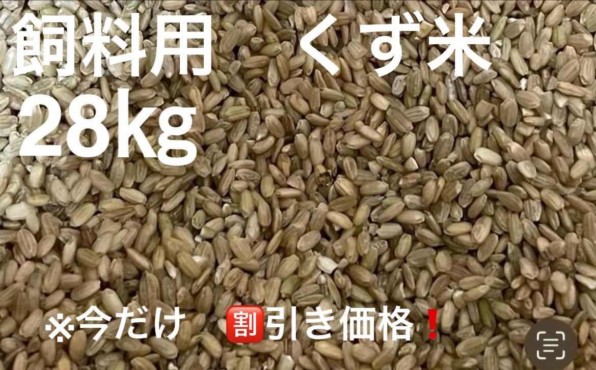 くず米28kg 楽天市場】くず米 玄米の通販
