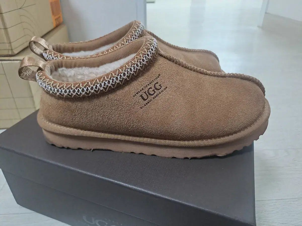 オーストラリア オッズウェア タスマン eu39