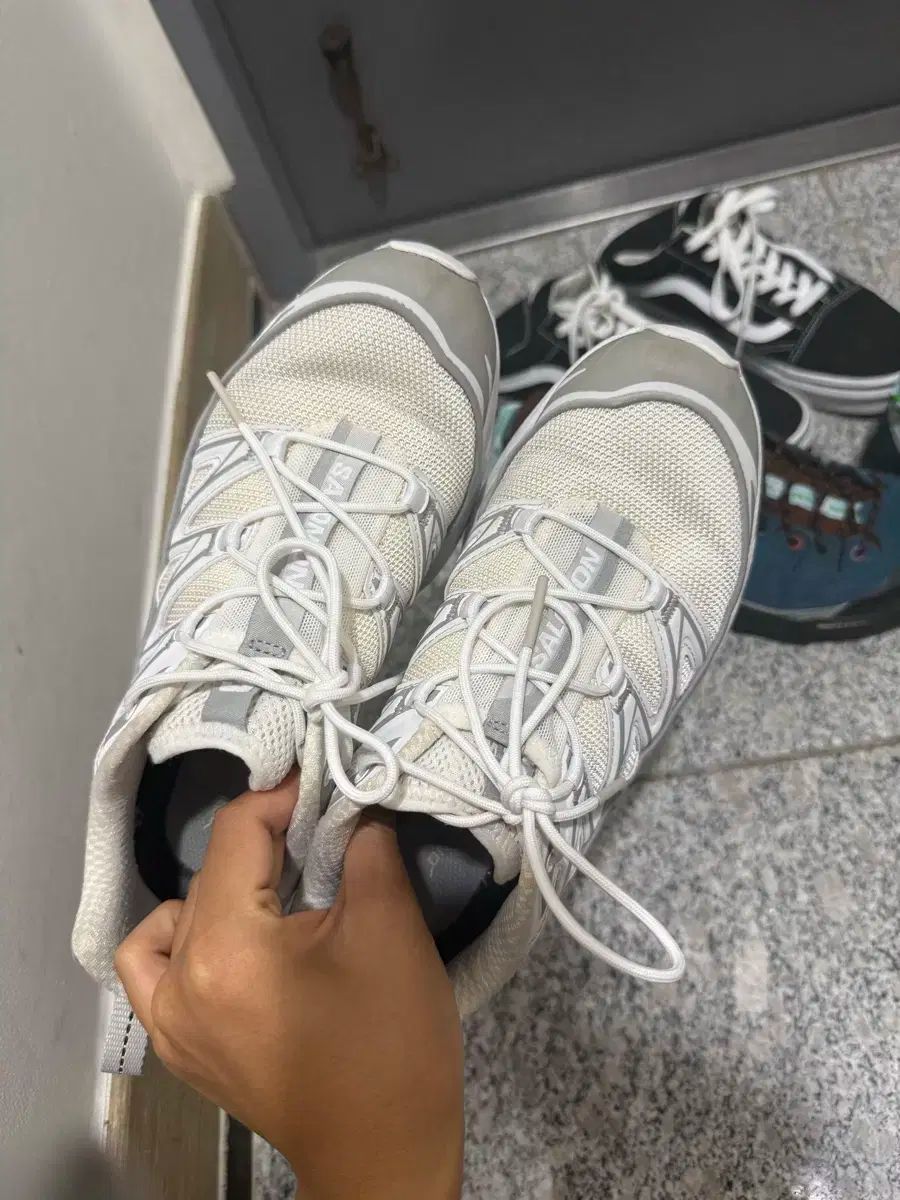 エクスペンス バニラ