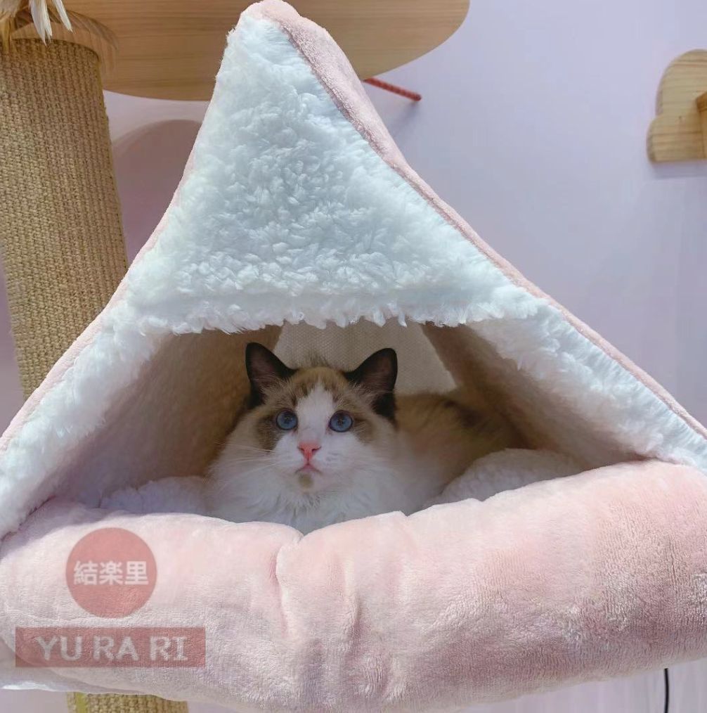 猫用