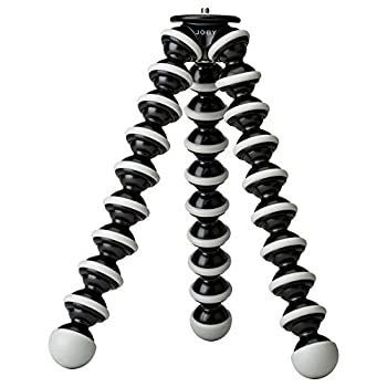 室田豊四郎/ Murota /馬に跨る裸婦 /日本画 /絵画 /油彩 油絵 油彩 絵