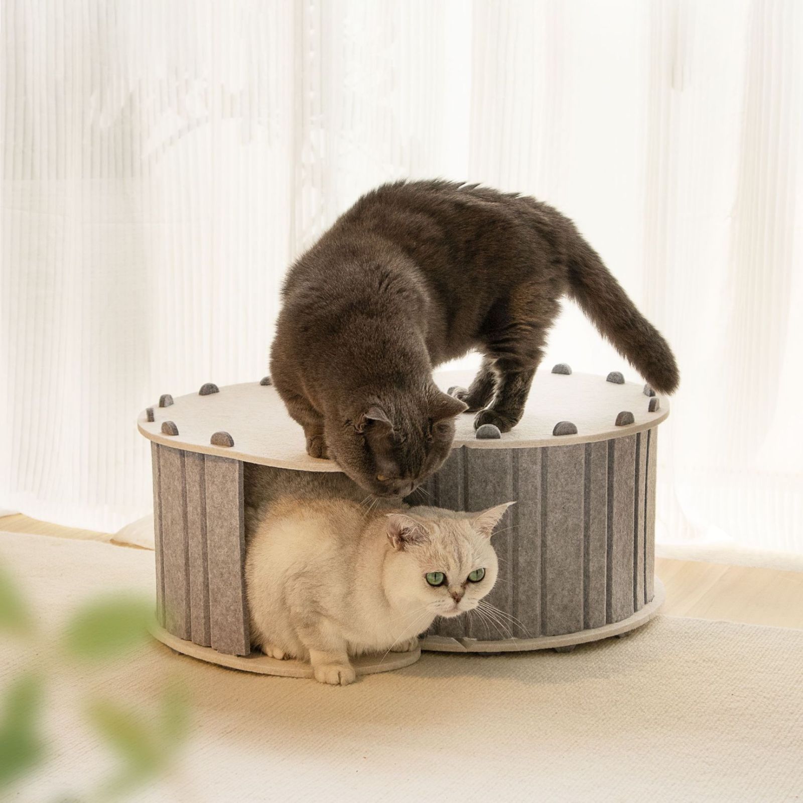 爪とぎ 3色