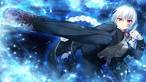 ノラと皇女と野良猫ハート2 - PS4 (【永久封入特典】ChaosTCG PR