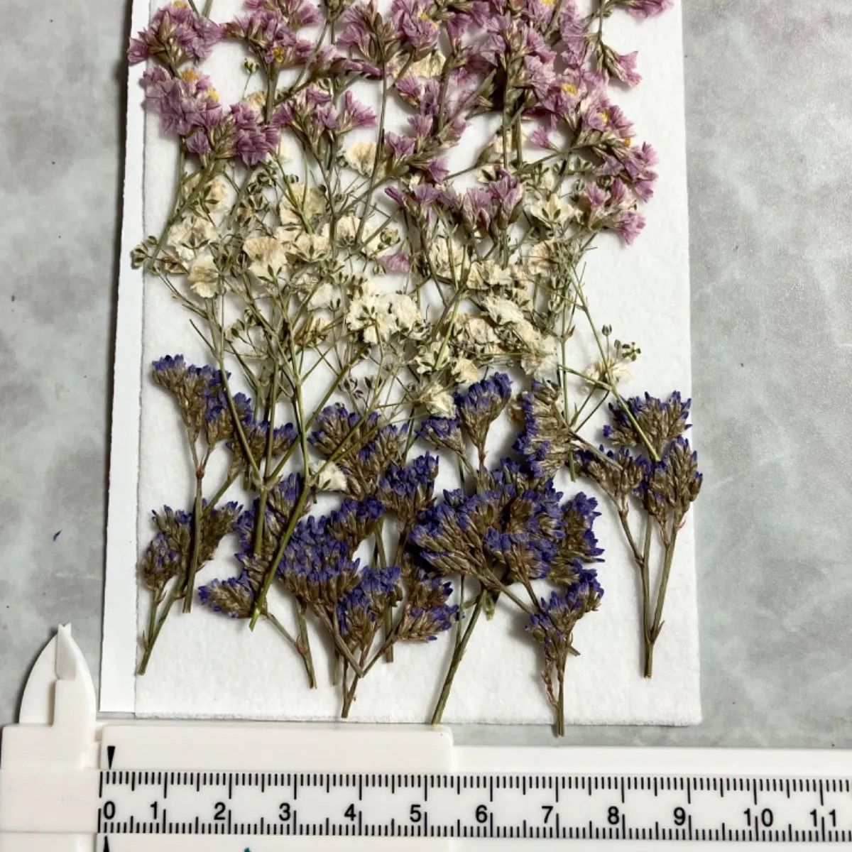 B品・スターチス・かすみ草・ブルーファンタジア・花材・ドライフラワー - メルカリ