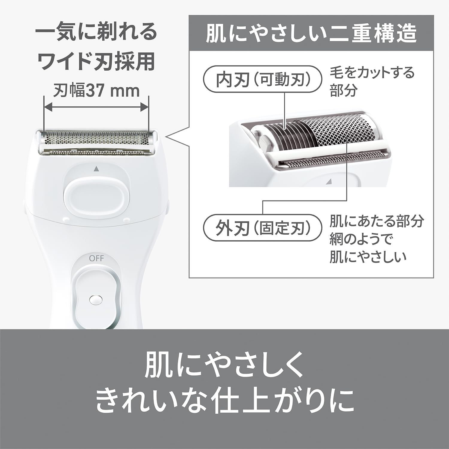 乾電池式