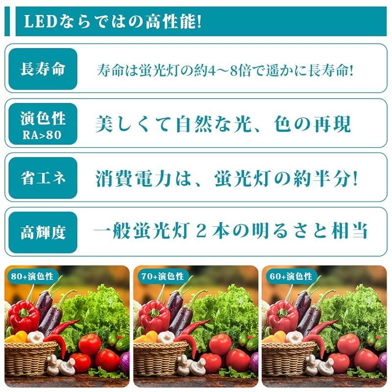 両側給電LEDランプ 10本