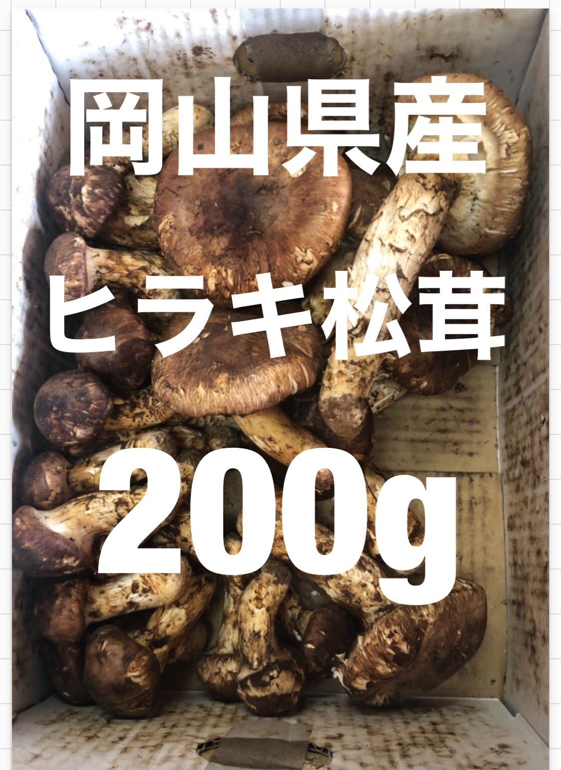 岡山県産松茸200g国産 - メルカリ