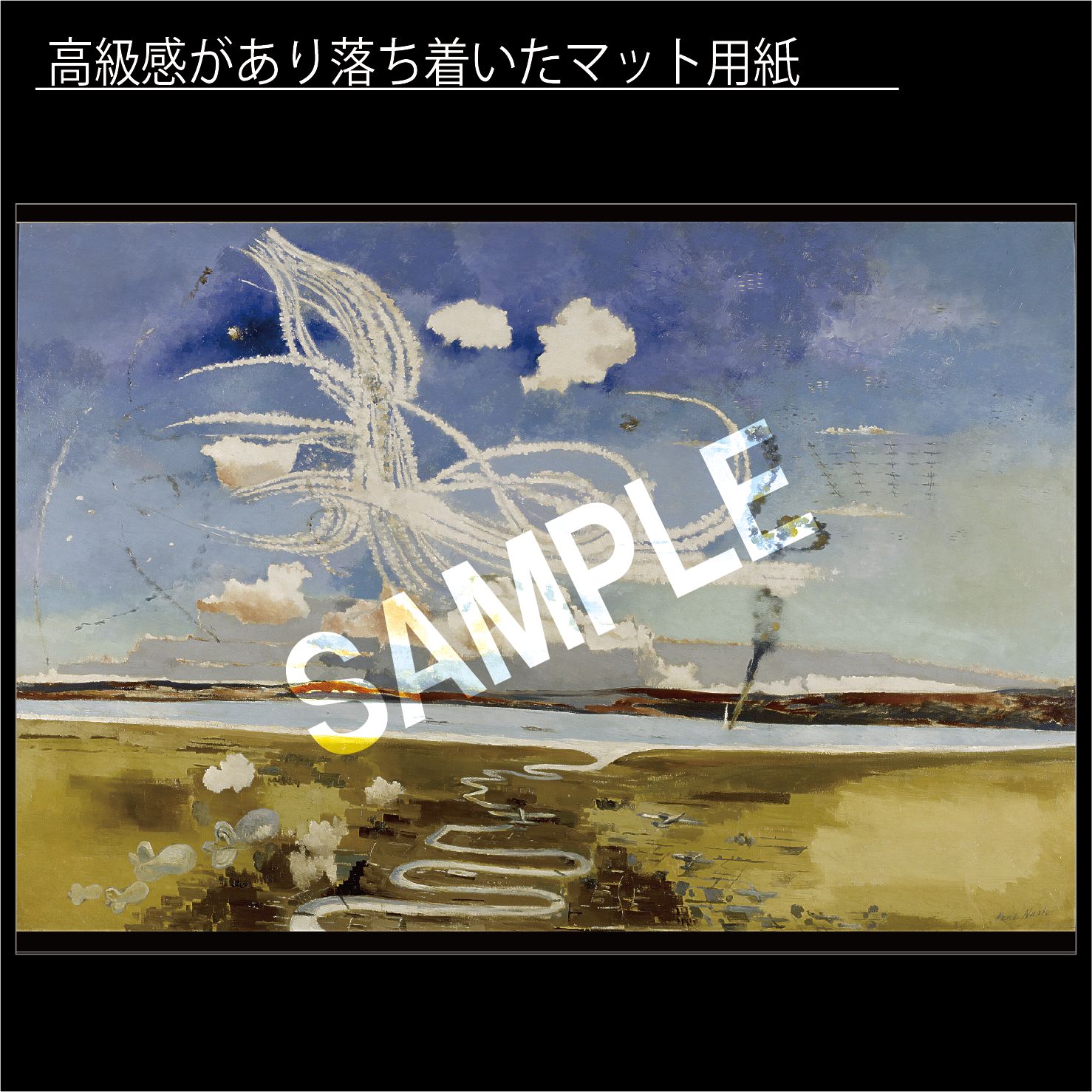 新品 未使用 入手 水野智路✖️ビームス✖️ホシザキ ペンギン