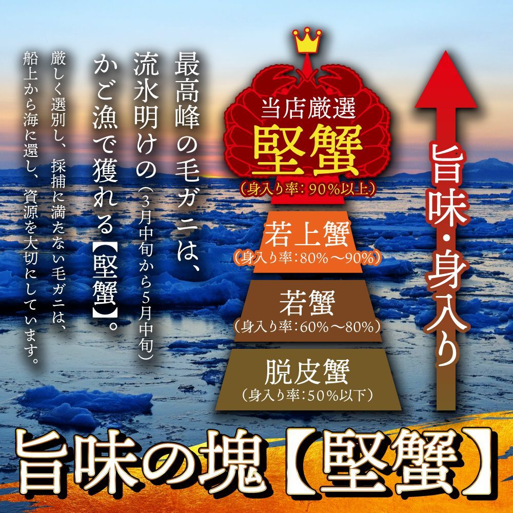 最高峰の毛ガニ 500g前後×2尾 🦀🦀 最高ランクの堅蟹! 流氷明け!!-1