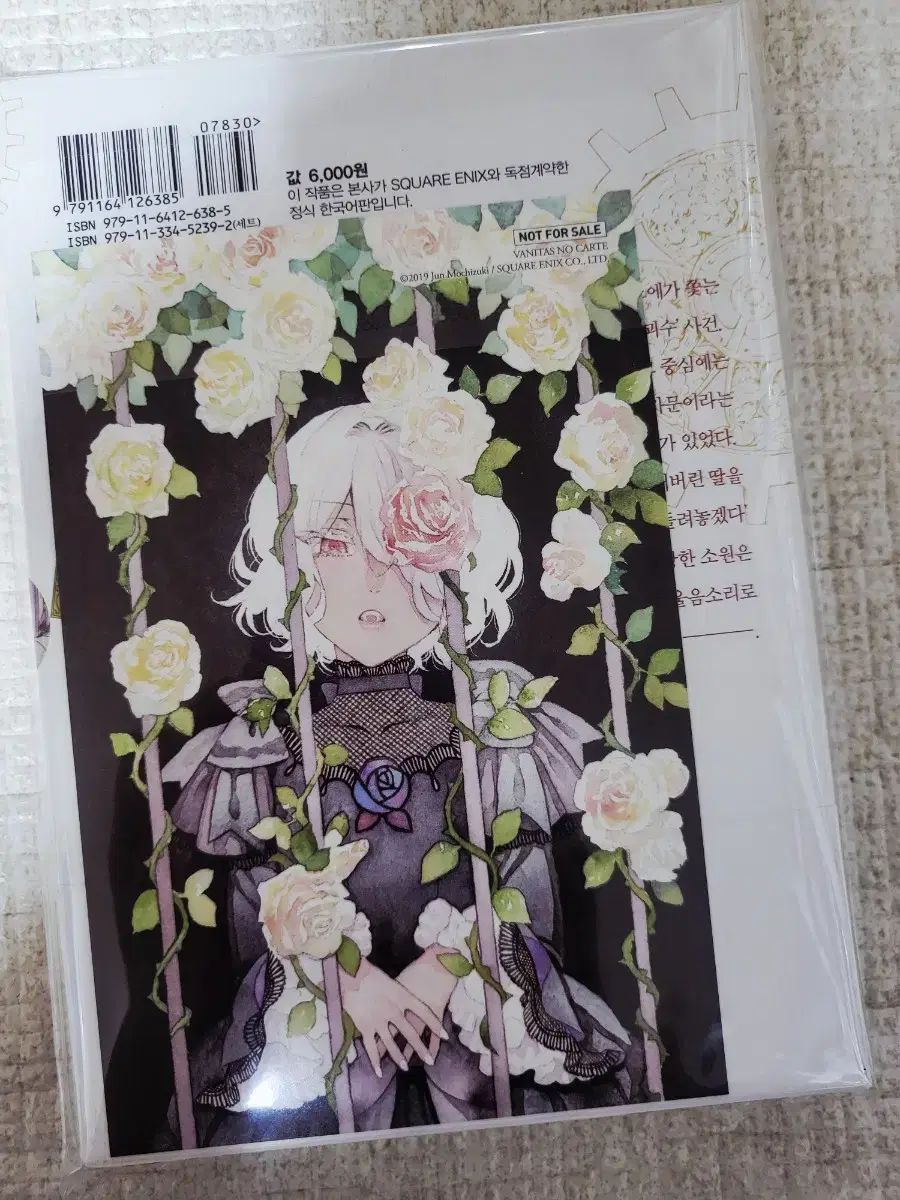 ヴァニタスの 手書き