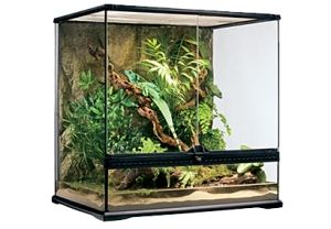 新品・3営業日で発送】GEX(ジェックス) グラステラリウム6060 PT2612