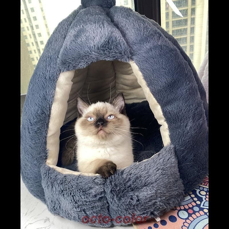 猫ベット