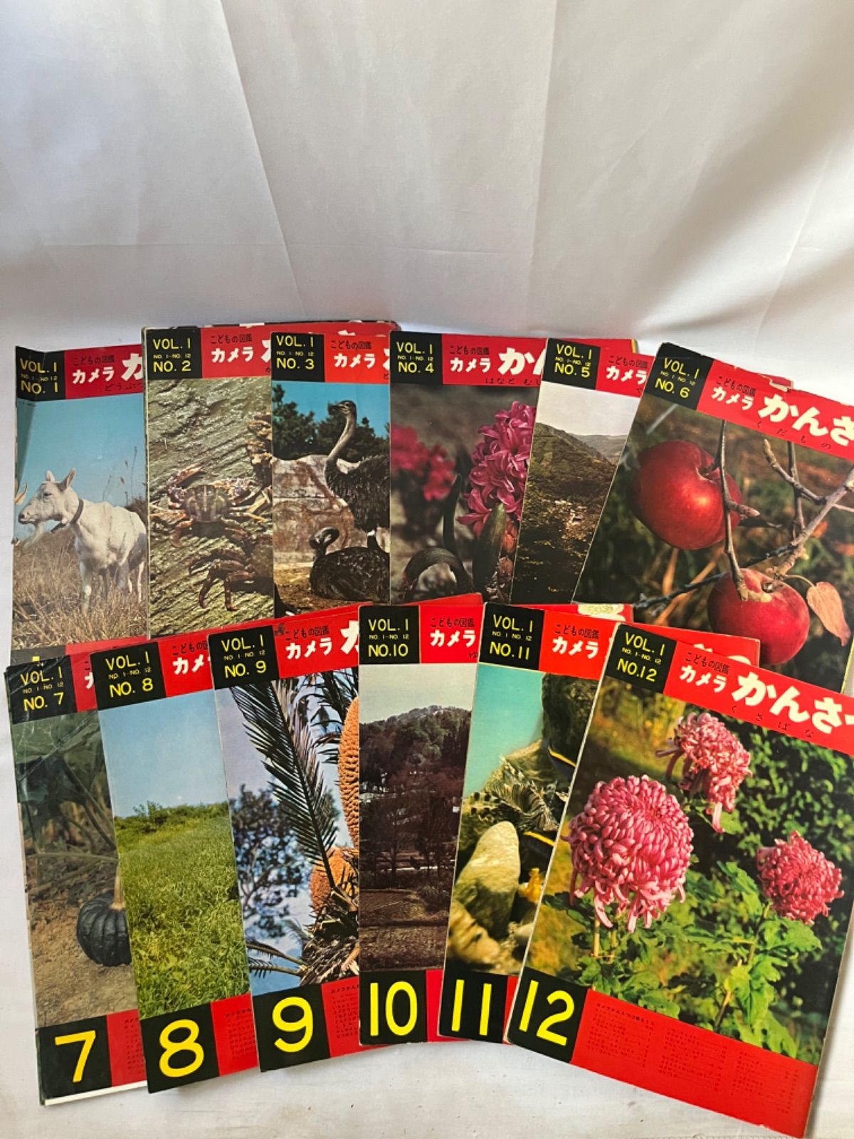 こども図鑑　カメラかんさつ　1〜12
