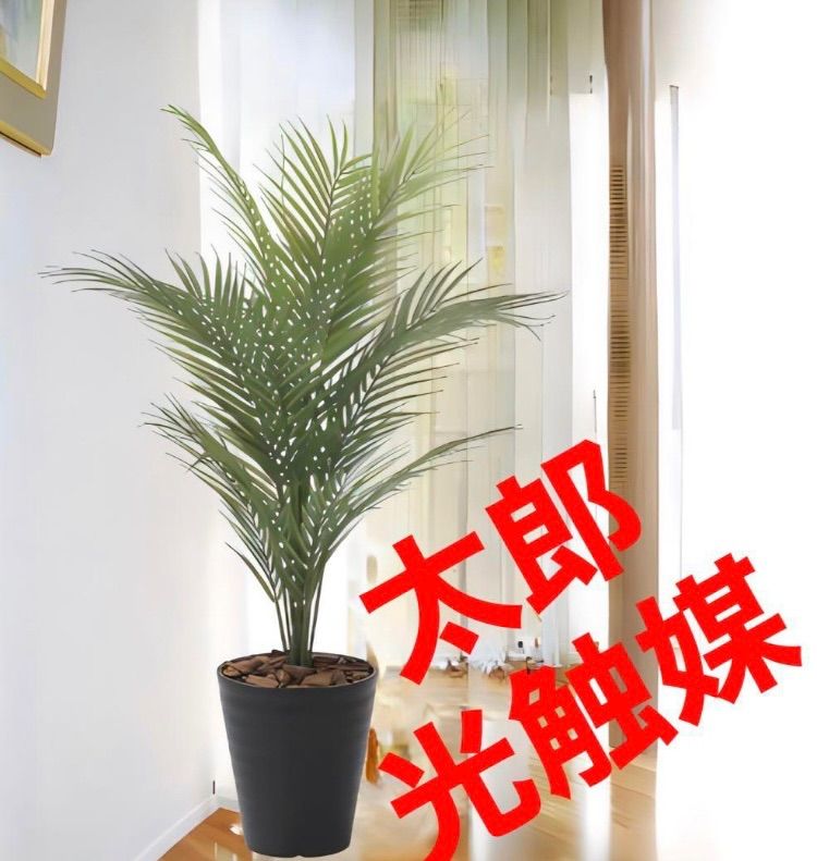 NEWモデル 中古】 [リスク評価の データの外挿と分布 不確実性をどう扱うか 自然科学と技術