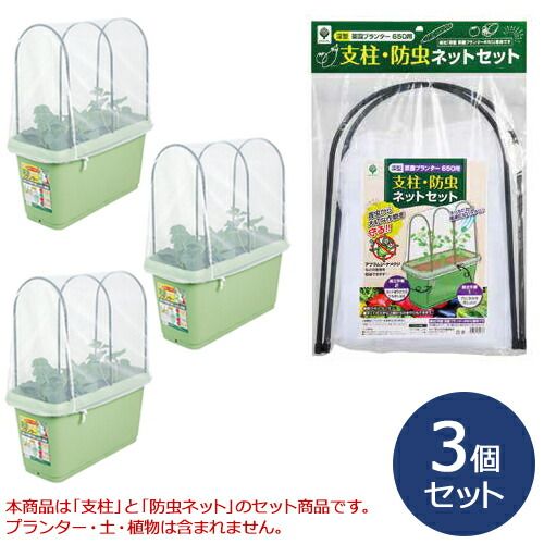 1850年代 英国 純銀製 ケース イギリス 925 バーミンガム ライオン