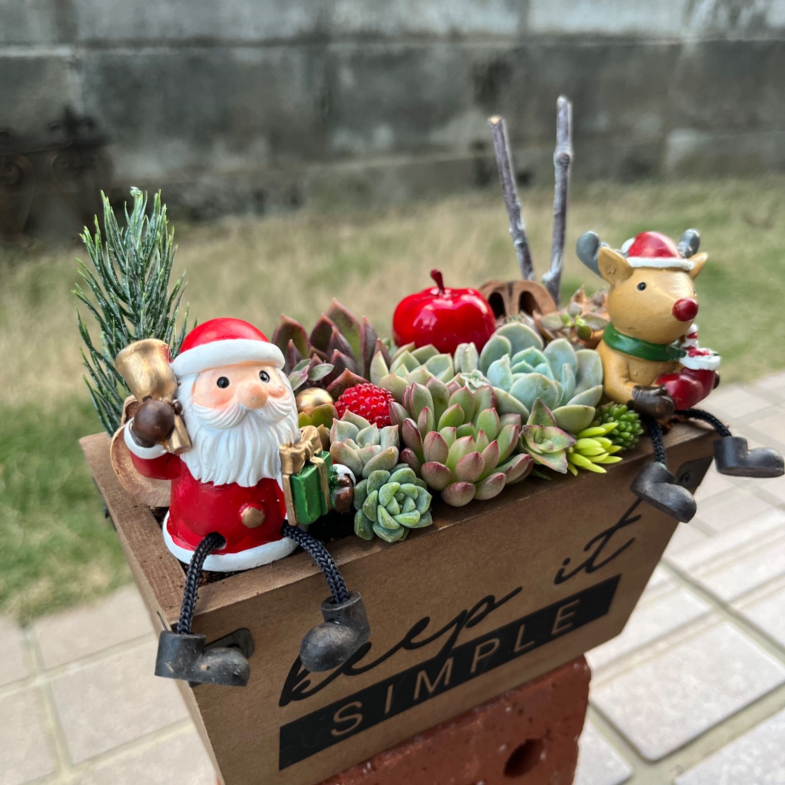 メルカリ便♫多肉植物寄せ植え♫そのまま飾れる♫くまさんサンタの