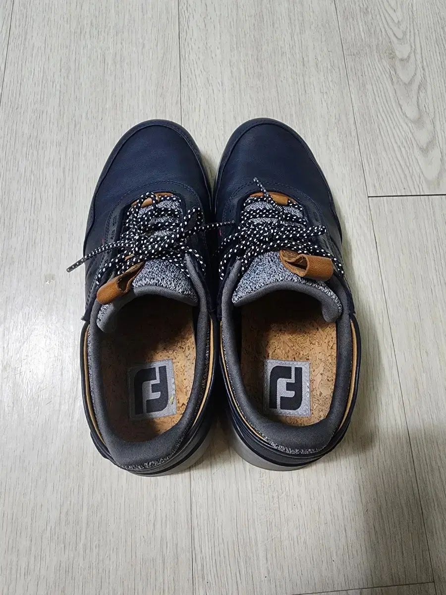 FootJoy フットジョイ ゴルフシューズ メンズ 260