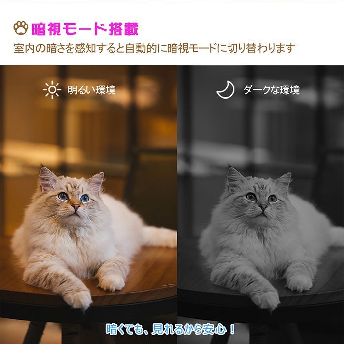 チャオボット 自動給餌機