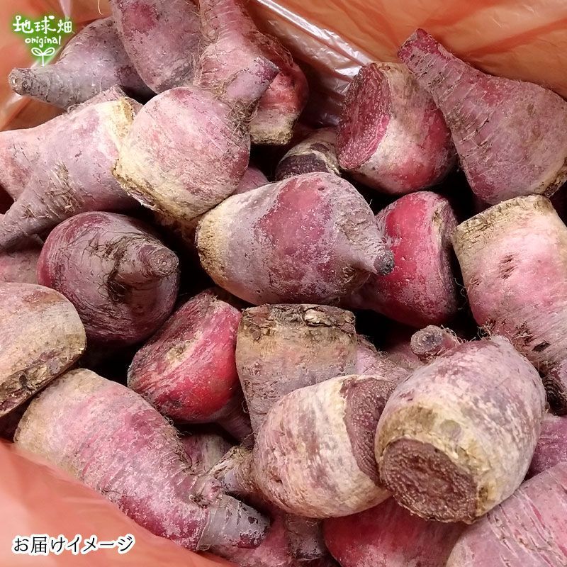 洗い 1個100～350g