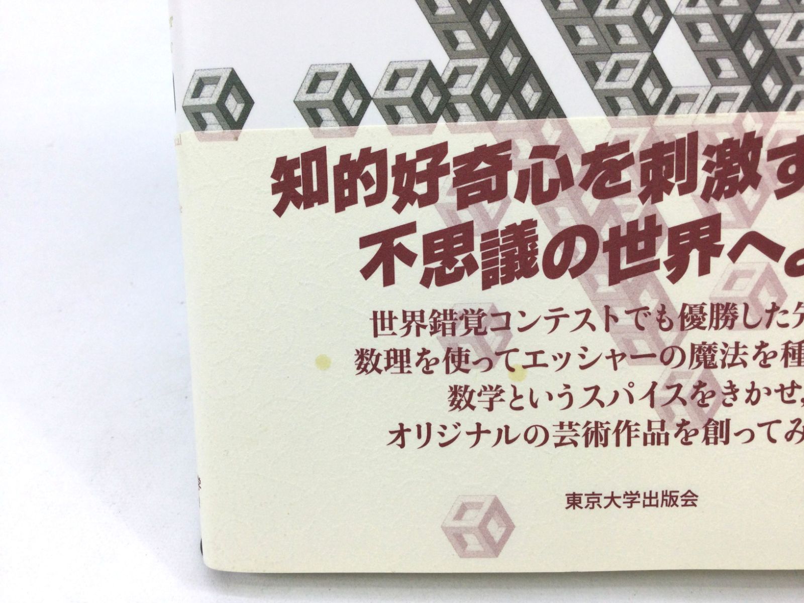 B0818]エッシャー・マジック―だまし絵の世界を数理で読み解く - メルカリ