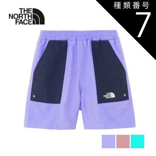 西山芳園 芳園 紙本 扇面 アサガオ 朝顔 牽牛花 茶掛