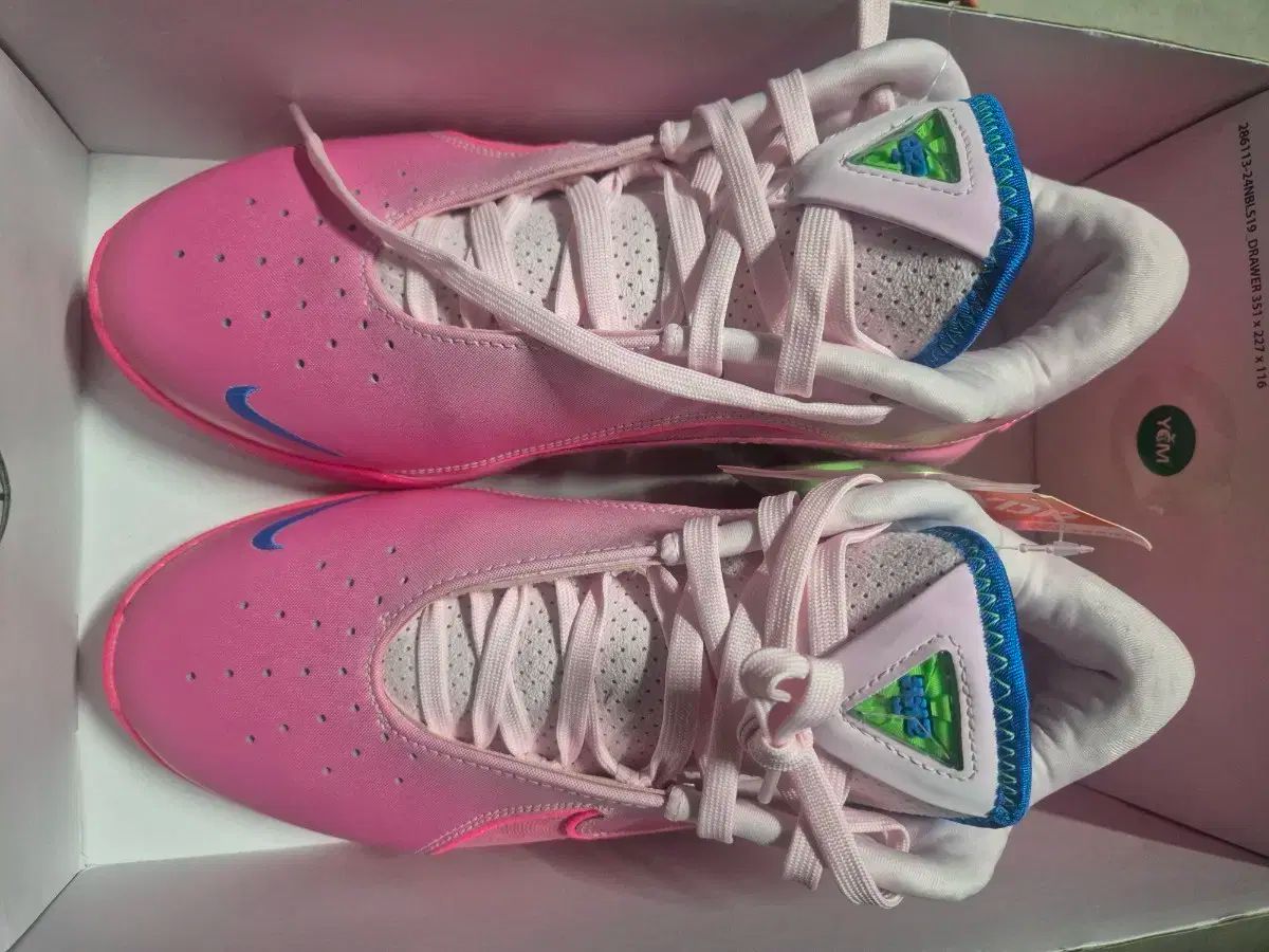 NIKE ナイキ レブロン XXII SN EP ピンク 270mm バスケシューズ