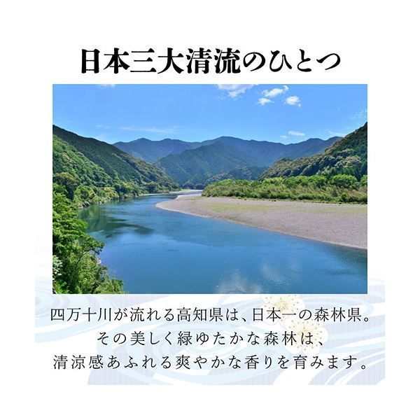 日本の枕 総ひのき