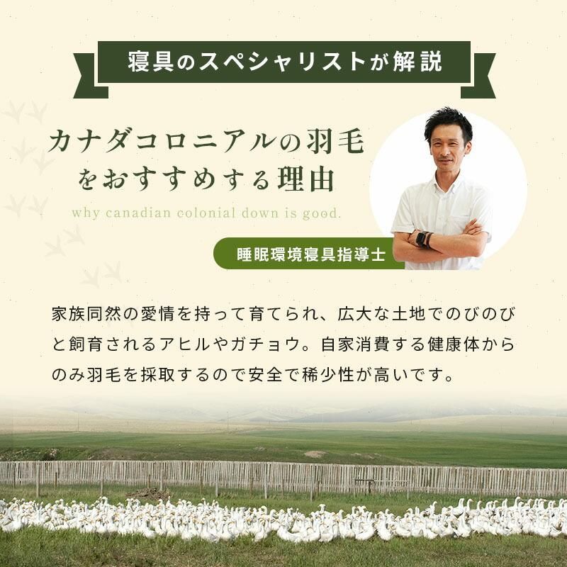 京都羽毛 カナダ産グースダウン93