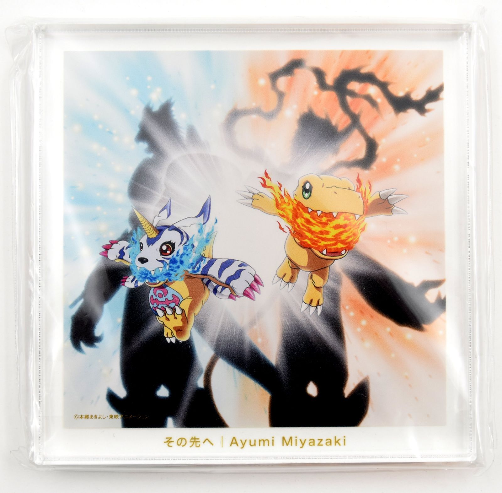 宮崎歩 「その先へ」