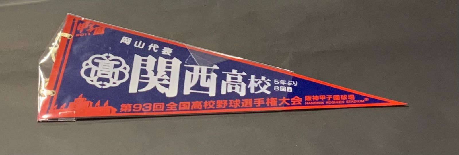 第93回全国高校野球選手権大会　岡山大表　関西高校　1022