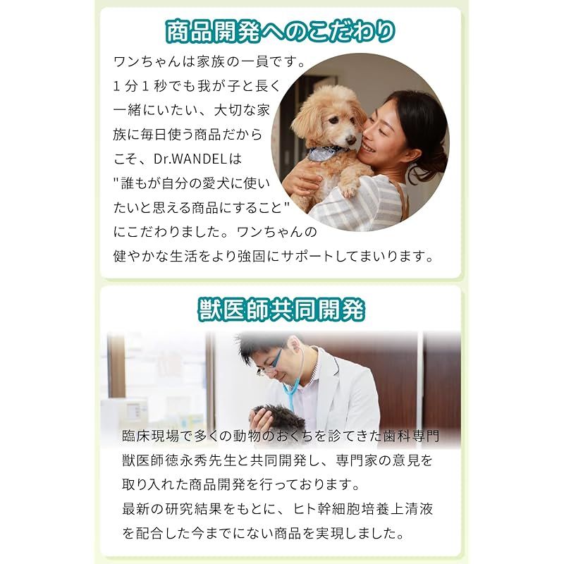 Dr.WANDEL ドクターワンデル