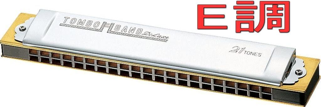 楽器・機材 TOMBO 複音ハーモニカ E調 特製トンボバンド 21穴 1521