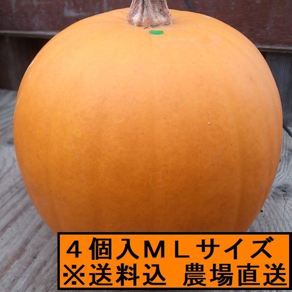 ハロウィン ジャックオーランタン用生本物かぼちゃ １個 Mサイズ3kg台４個セット カボチャ専門農家農場直送